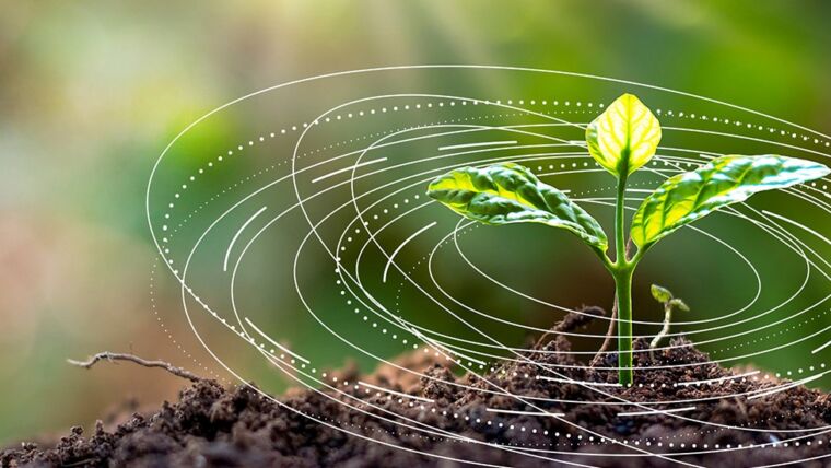 Only one earth: Driving a local approach